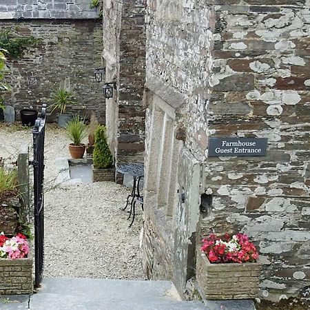 Reddivallen Farmhouse Boscastle Dış mekan fotoğraf